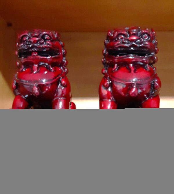 PAREJA DE LEONES SHISHAS